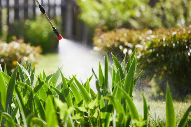 Tamper-Resistant Bait Stations for Rodents in Hayfork