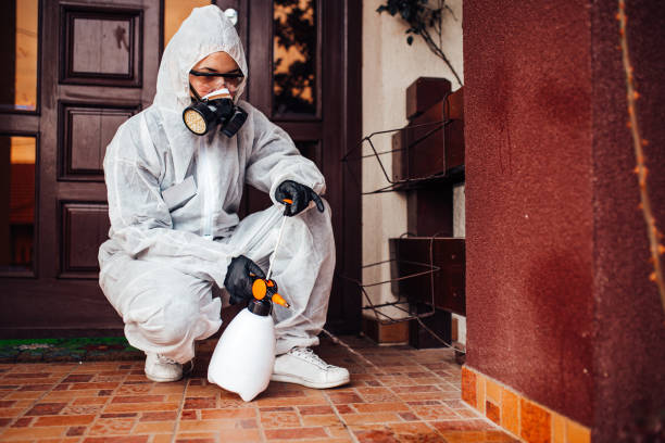 Attic and Crawl Space Rodent Treatment in Hayfork