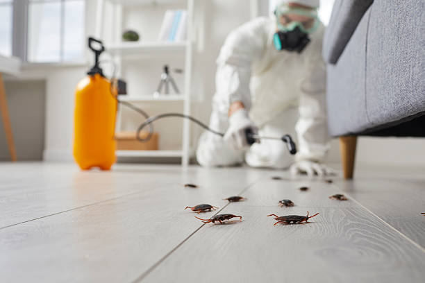 Commercial Rodent Management in Hayfork